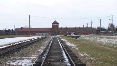 Des collégiens décrivent leur journée à Auschwitz