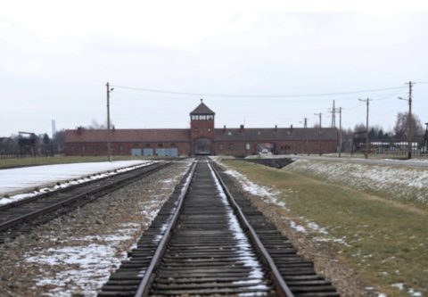 Des collégiens décrivent leur journée à Auschwitz
