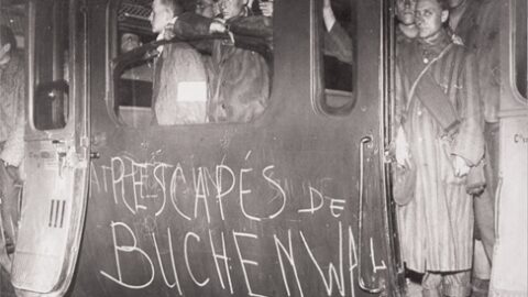 Le sujet du CNRD 2026: Survivre, Témoigner, Juger